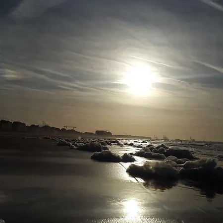Zen-pausa Lippenslaan Daire Knokke-Heist